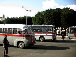 Busse auf Gozo